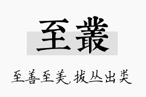 至丛名字的寓意及含义