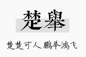 楚举名字的寓意及含义