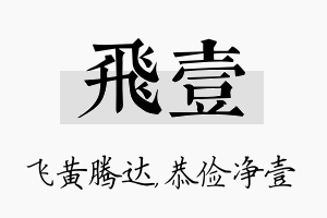 飞壹名字的寓意及含义