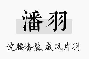 潘羽名字的寓意及含义