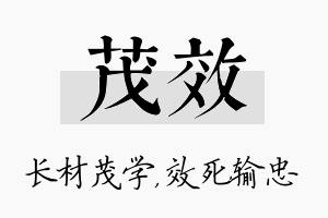 茂效名字的寓意及含义