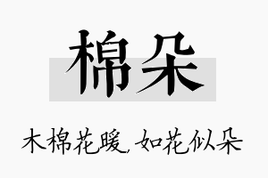 棉朵名字的寓意及含义