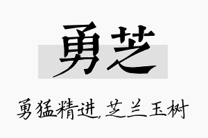 勇芝名字的寓意及含义