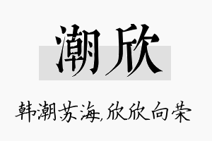 潮欣名字的寓意及含义