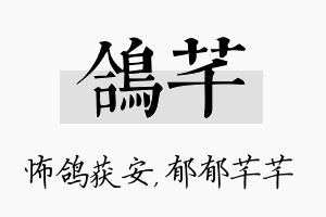 鸽芊名字的寓意及含义