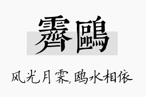 霁鸥名字的寓意及含义