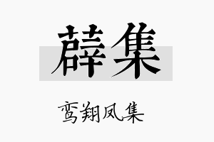 薜集名字的寓意及含义