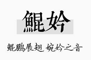 鲲妗名字的寓意及含义