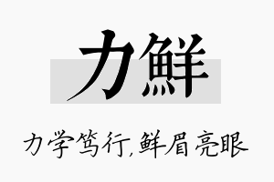 力鲜名字的寓意及含义