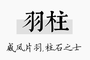 羽柱名字的寓意及含义