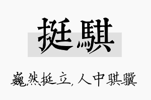 挺骐名字的寓意及含义