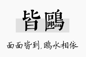 皆鸥名字的寓意及含义