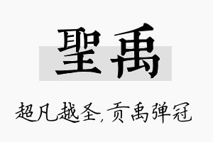 圣禹名字的寓意及含义