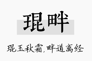 琨畔名字的寓意及含义