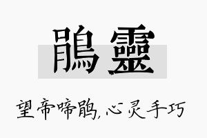 鹃灵名字的寓意及含义