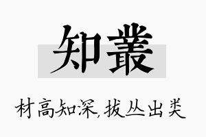 知丛名字的寓意及含义