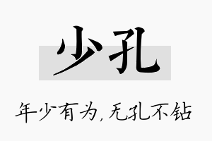 少孔名字的寓意及含义