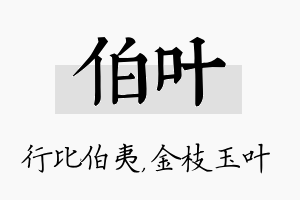 伯叶名字的寓意及含义