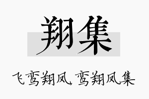 翔集名字的寓意及含义