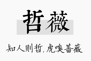 哲薇名字的寓意及含义