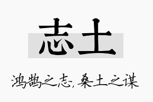 志土名字的寓意及含义