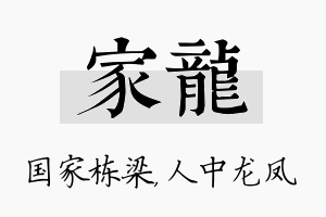 家龙名字的寓意及含义