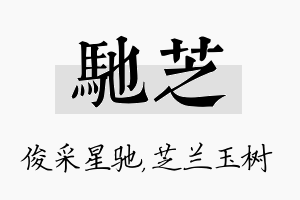 驰芝名字的寓意及含义