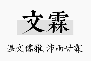 文霖名字的寓意及含义