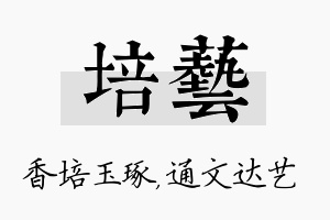 培艺名字的寓意及含义