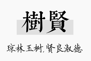 树贤名字的寓意及含义