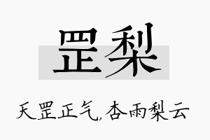 罡梨名字的寓意及含义