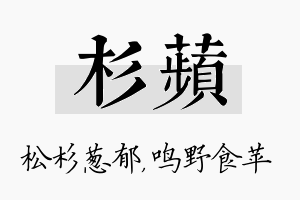 杉苹名字的寓意及含义