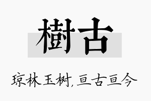 树古名字的寓意及含义