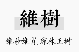 维树名字的寓意及含义