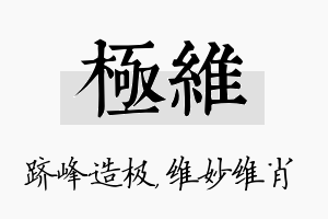 极维名字的寓意及含义