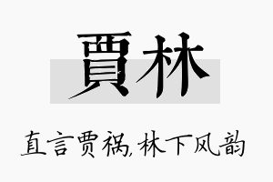 贾林名字的寓意及含义