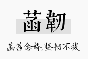 菡韧名字的寓意及含义