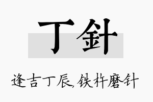 丁针名字的寓意及含义