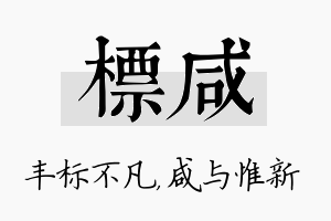 标咸名字的寓意及含义