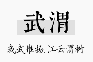 武渭名字的寓意及含义