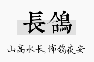 长鸽名字的寓意及含义