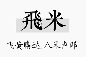 飞米名字的寓意及含义