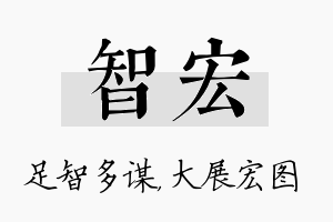 智宏名字的寓意及含义