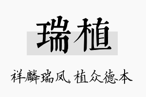 瑞植名字的寓意及含义