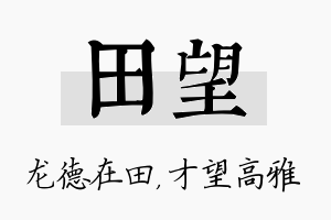 田望名字的寓意及含义