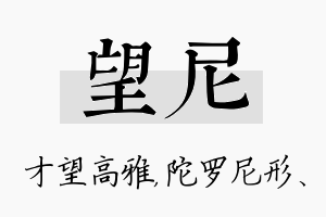 望尼名字的寓意及含义