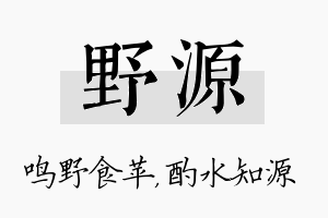 野源名字的寓意及含义