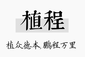 植程名字的寓意及含义