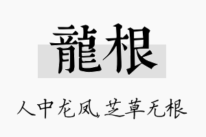 龙根名字的寓意及含义