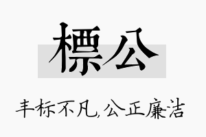 标公名字的寓意及含义